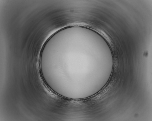 X0000099561044200806061535