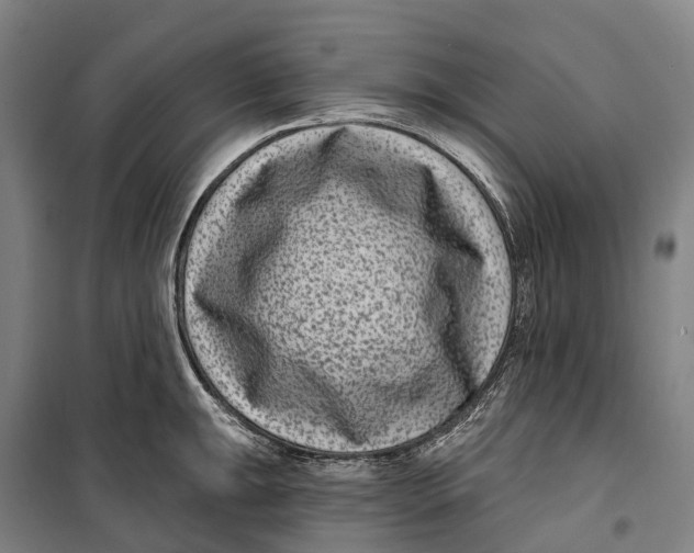 X0000099561047200806061535