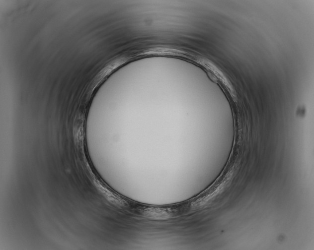 X0000099561049200806061535