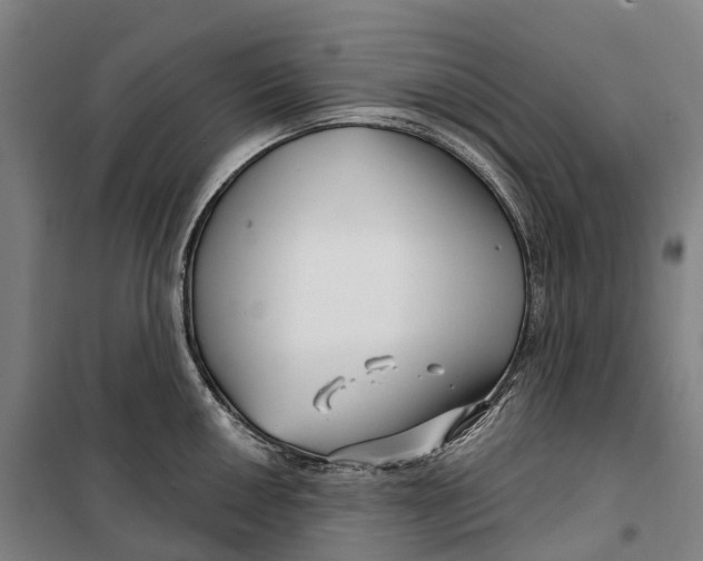 X0000099561050200806061535