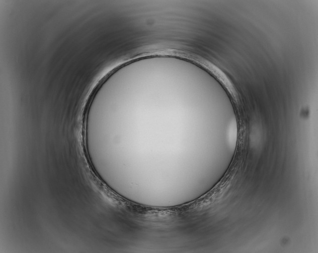 X0000099561051200806061535