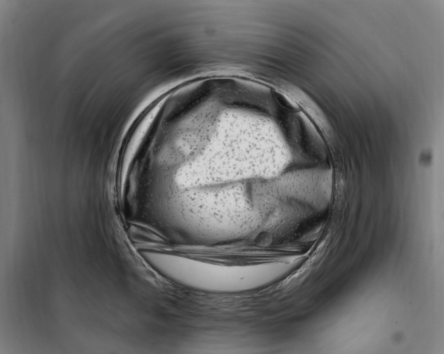 X0000099561052200806061535