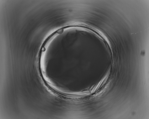 X0000099561053200806061535