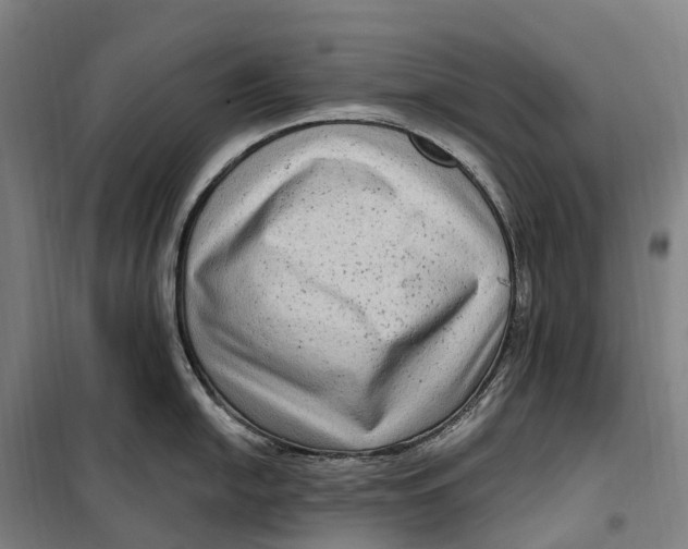 X0000099561054200806061535