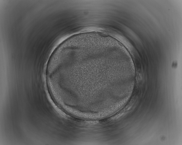 X0000099561055200806061535