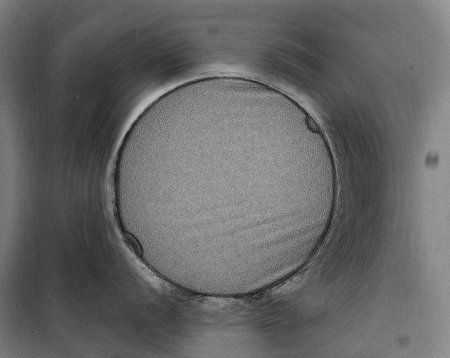 X0000099561056200806061535