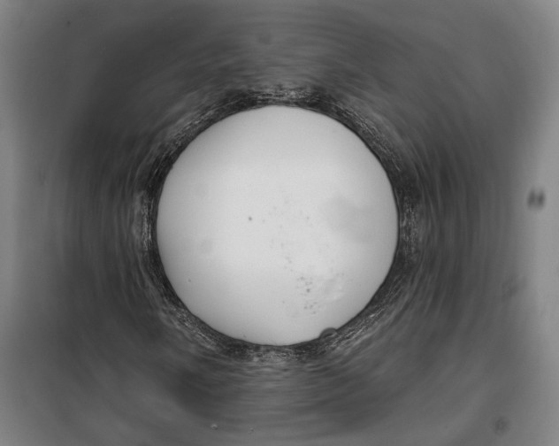 X0000099561058200806061535