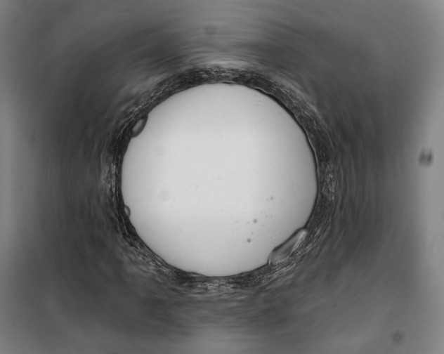 X0000099561061200806061535