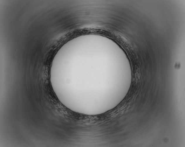 X0000099561062200806061534