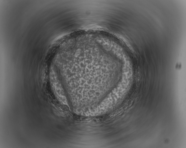 X0000099561063200806061534