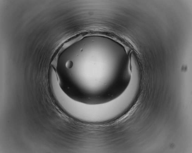 X0000099561065200806061534