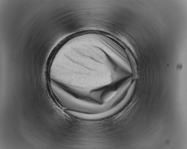 X0000099561068200806061534