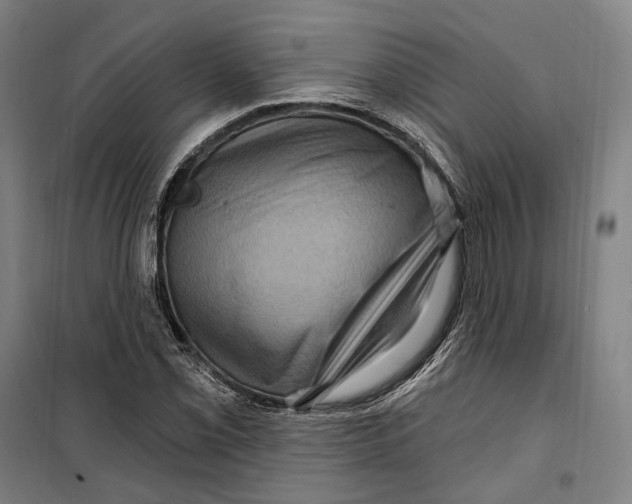 X0000099561069200806061534