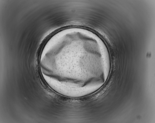 X0000099561070200806061534