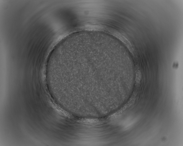 X0000099561074200806061534