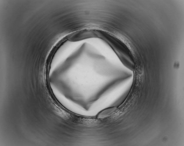 X0000099561076200806061534