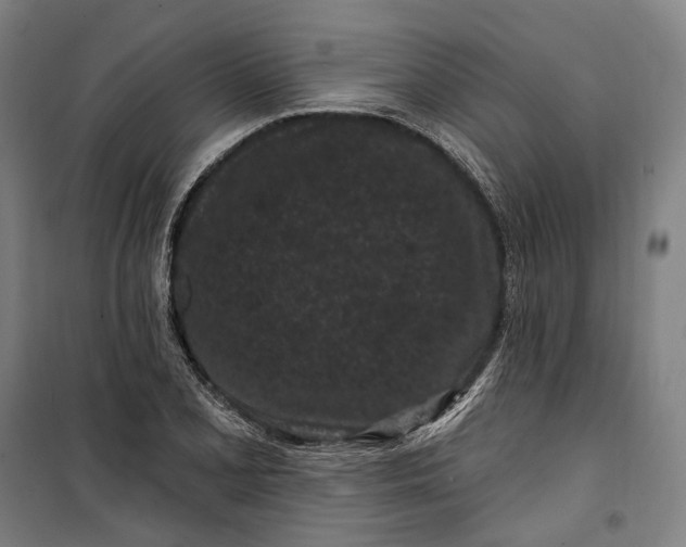 X0000099561077200806061534