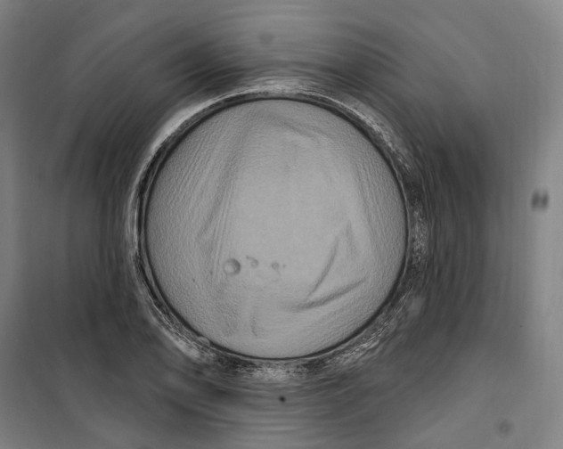 X0000099561078200806061534