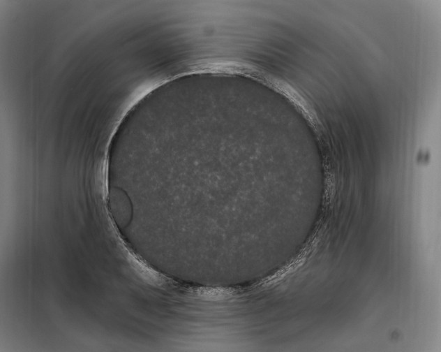 X0000099561079200806061534