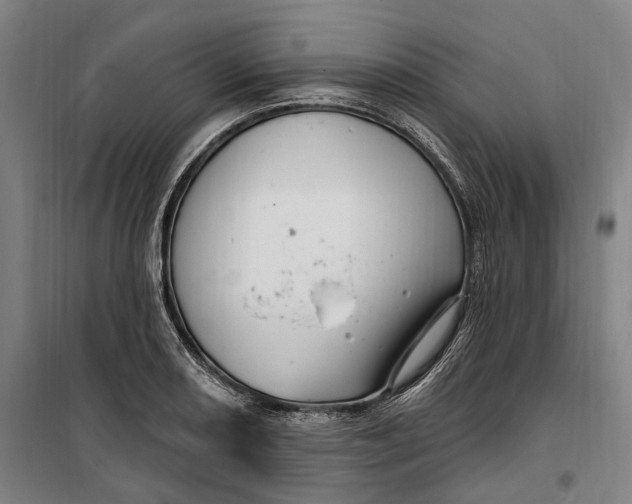 X0000099561082200806061534