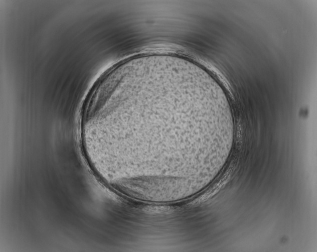 X0000099561083200806061534