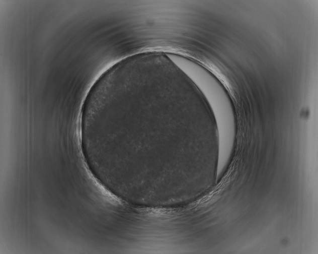 X0000099561084200806061534