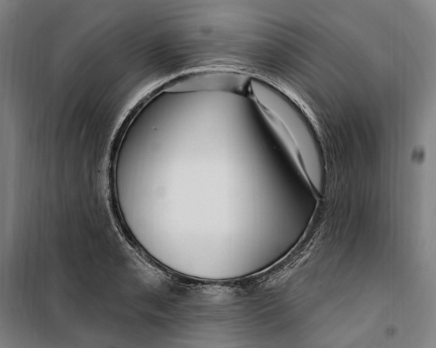 X0000099561085200806061534