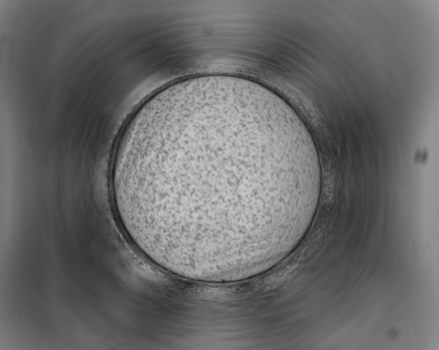 X0000099561086200806061534