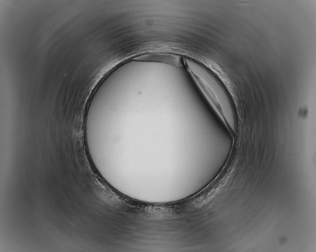 X0000099561089200806061534