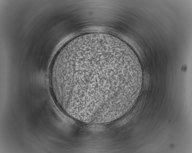 X0000099561090200806061534