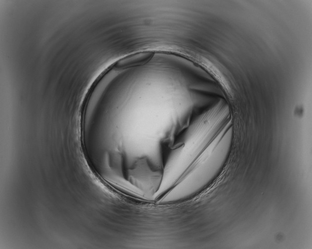 X0000099561092200806061534