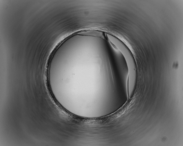 X0000099561093200806061534