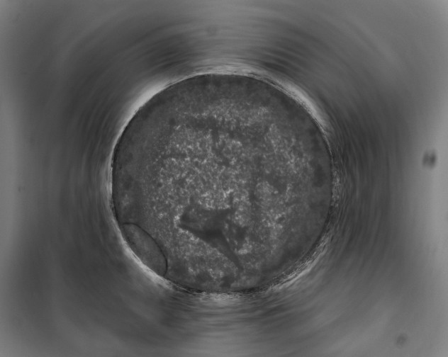 X0000099561095200806061534