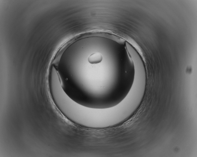 X0000099561096200806061534