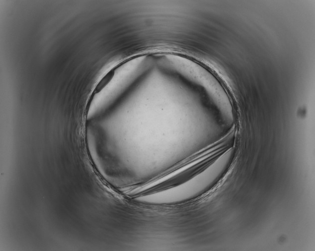 X0000099561097200806061534