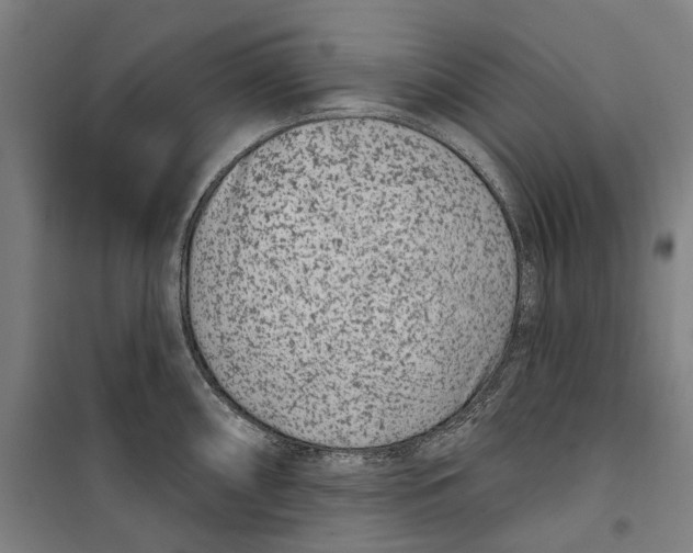 X0000099561098200806061534