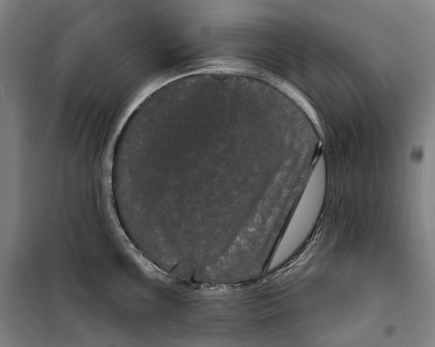 X0000099561099200806061534