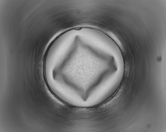 X0000099561100200806061534