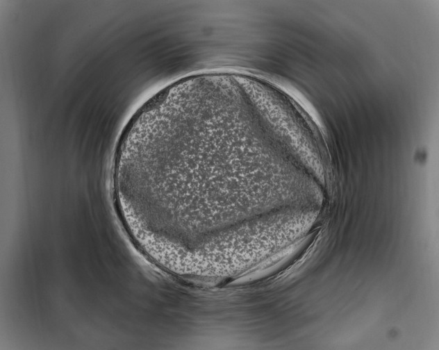 X0000099561101200806061534