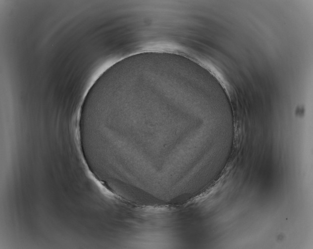 X0000099561103200806061534