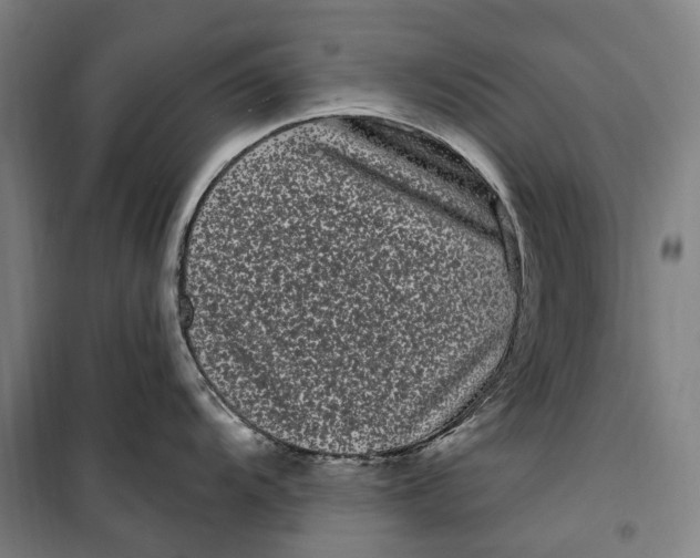 X0000099561104200806061534