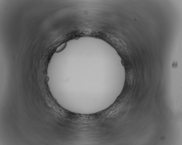 X0000099561105200806061533