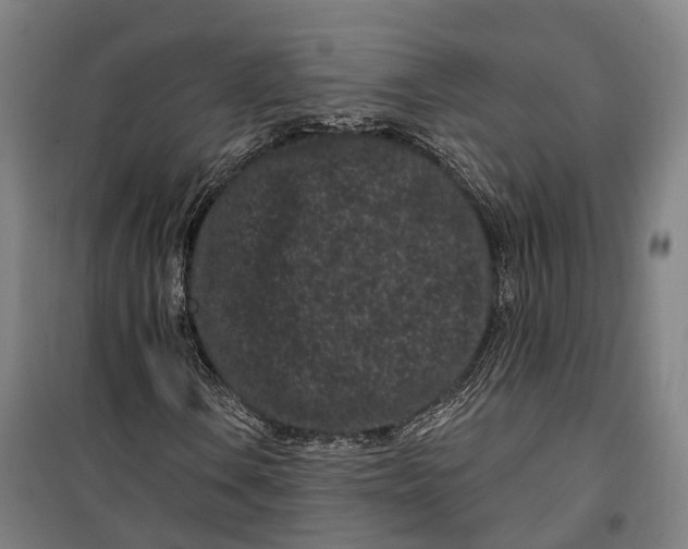 X0000099561106200806061533