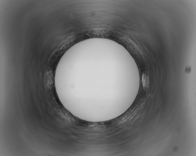 X0000099561107200806061533