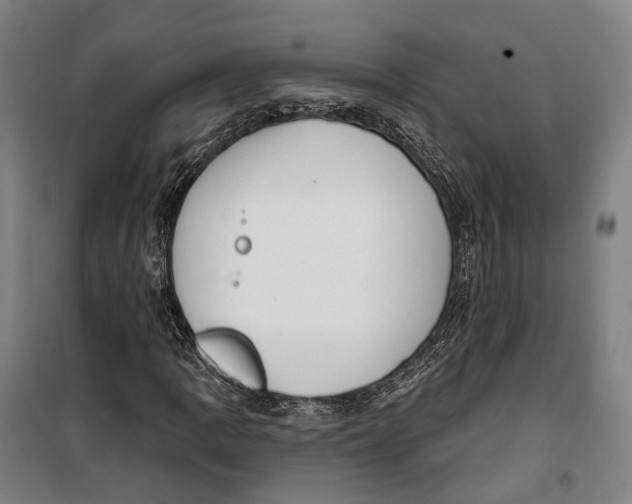 X0000099561109200806061533