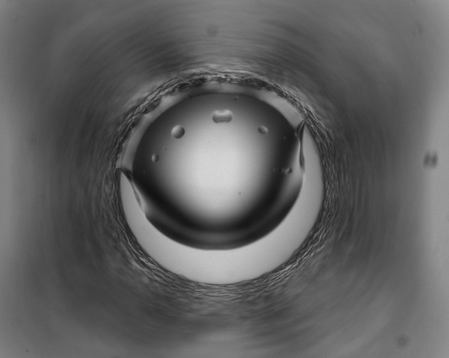 X0000099561110200806061533