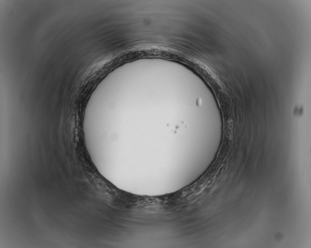 X0000099561111200806061533