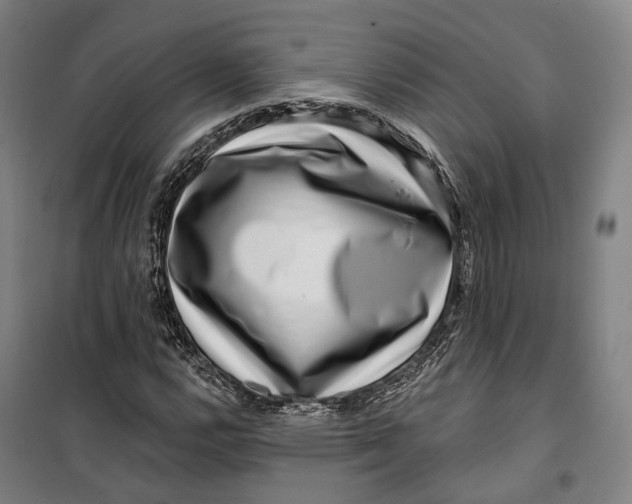 X0000099561112200806061533