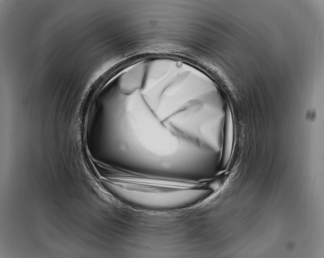 X0000099561114200806061533