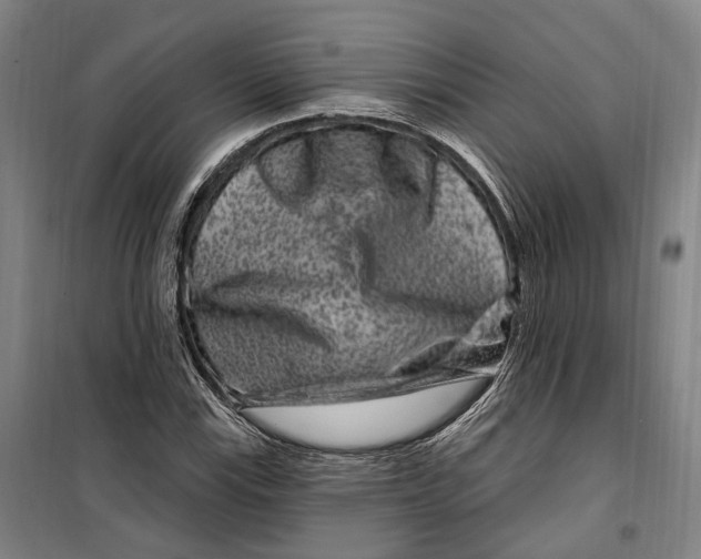 X0000099561115200806061533